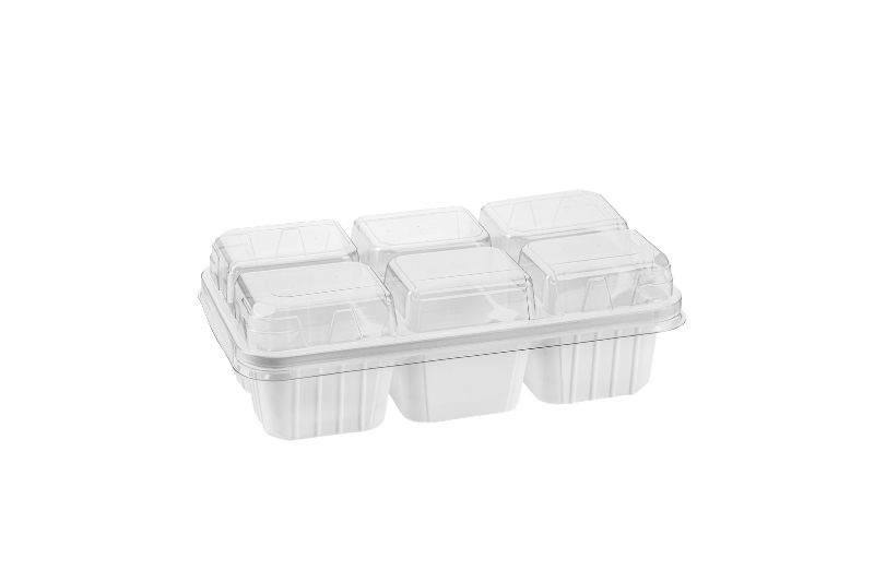6 Compartment Ice Cream Lid 213